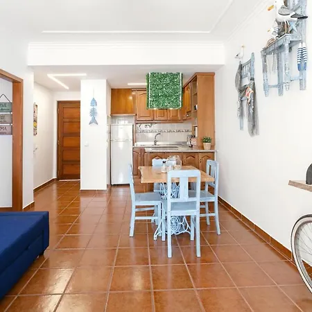 Seagulls' House Apartment Nazare